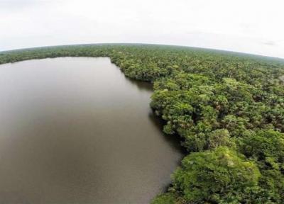 یک دهه جنگل زدایی گسترده در آمازون