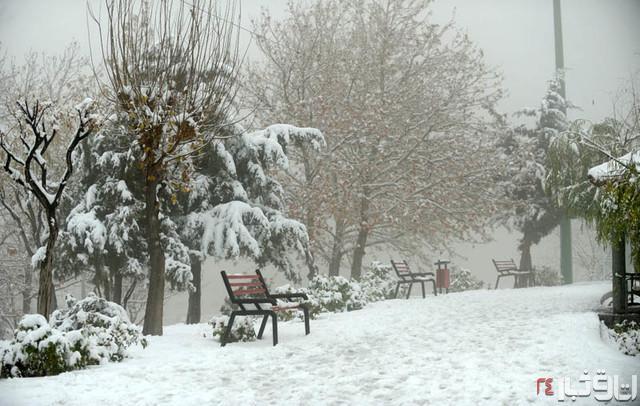 بارش برف و باران در 14 استان کشور بارش برف و باران در 14 استان کشور