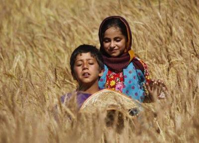 مستند ایرانی برگزیده جشنواره المپیای یونان شد