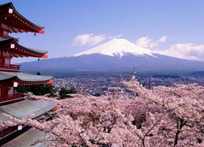 ژاپن کشوری مرکب از دو فرهنگ سنتی و فوق مدرن