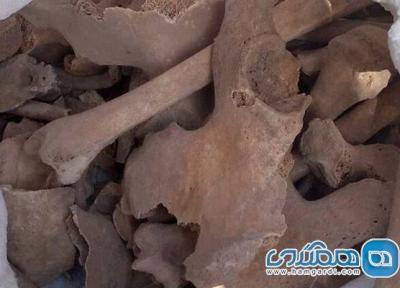 بقایای اسکلت دو انسان در محوطه تاریخی بخش کدکن کشف شد