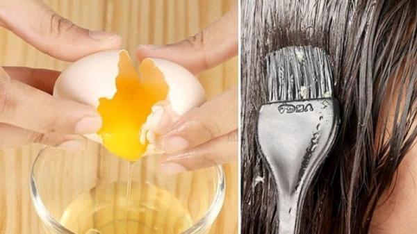 تاثیر فوق العاده اجزای تخم مرغ بر سلامت مو تاثیر فوق العاده اجزای تخم مرغ بر سلامت مو